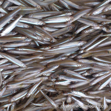 прісноводна риба заморожена ціла корюшка ставка